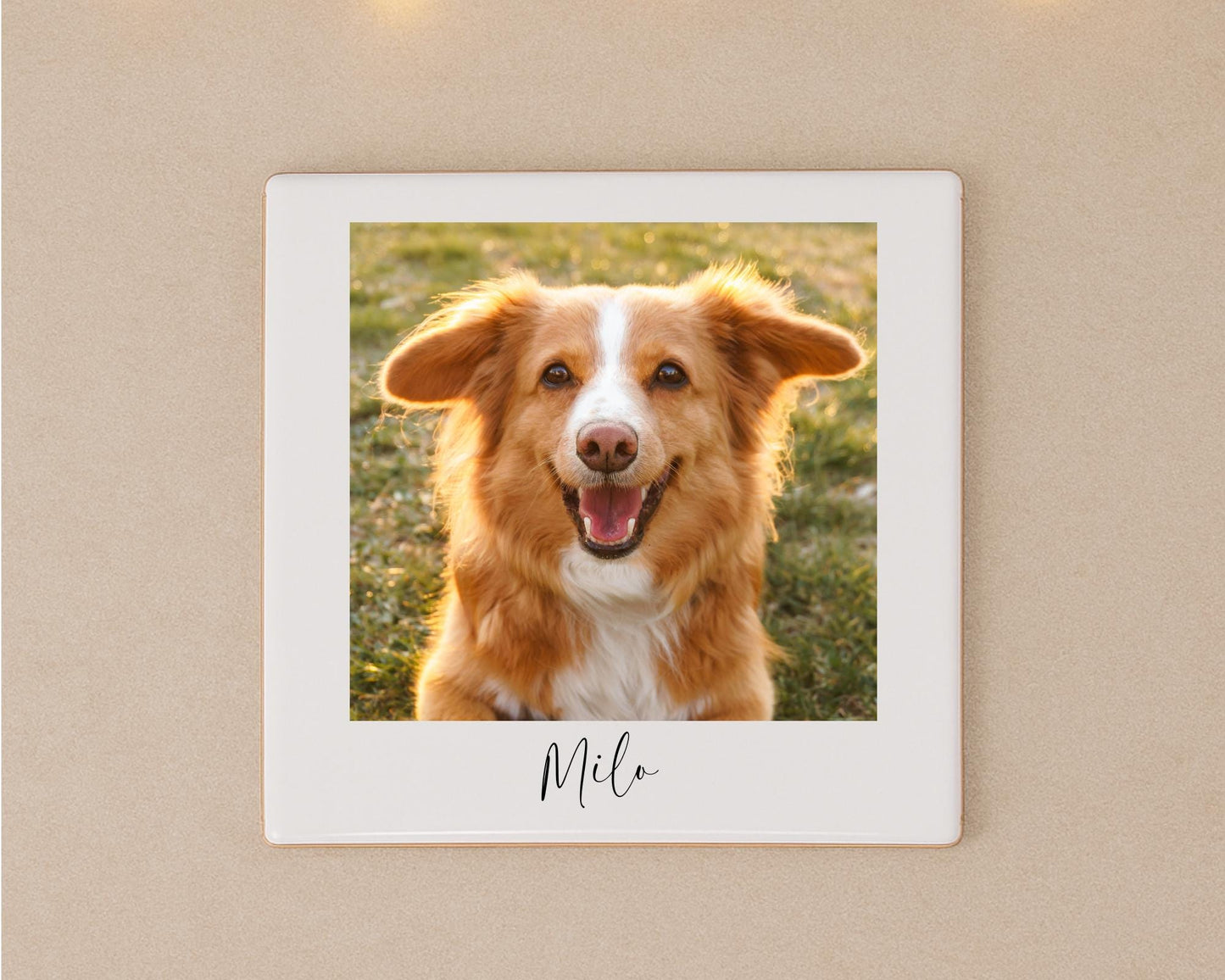 Personalised Pet Photo Ceramic Tile With Text Dog Gift