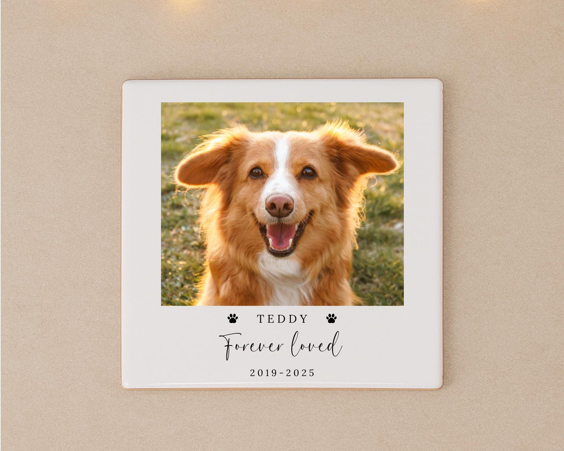 Personalised Dog Memorial Ceramic Photo Tile Pet Loss Gift