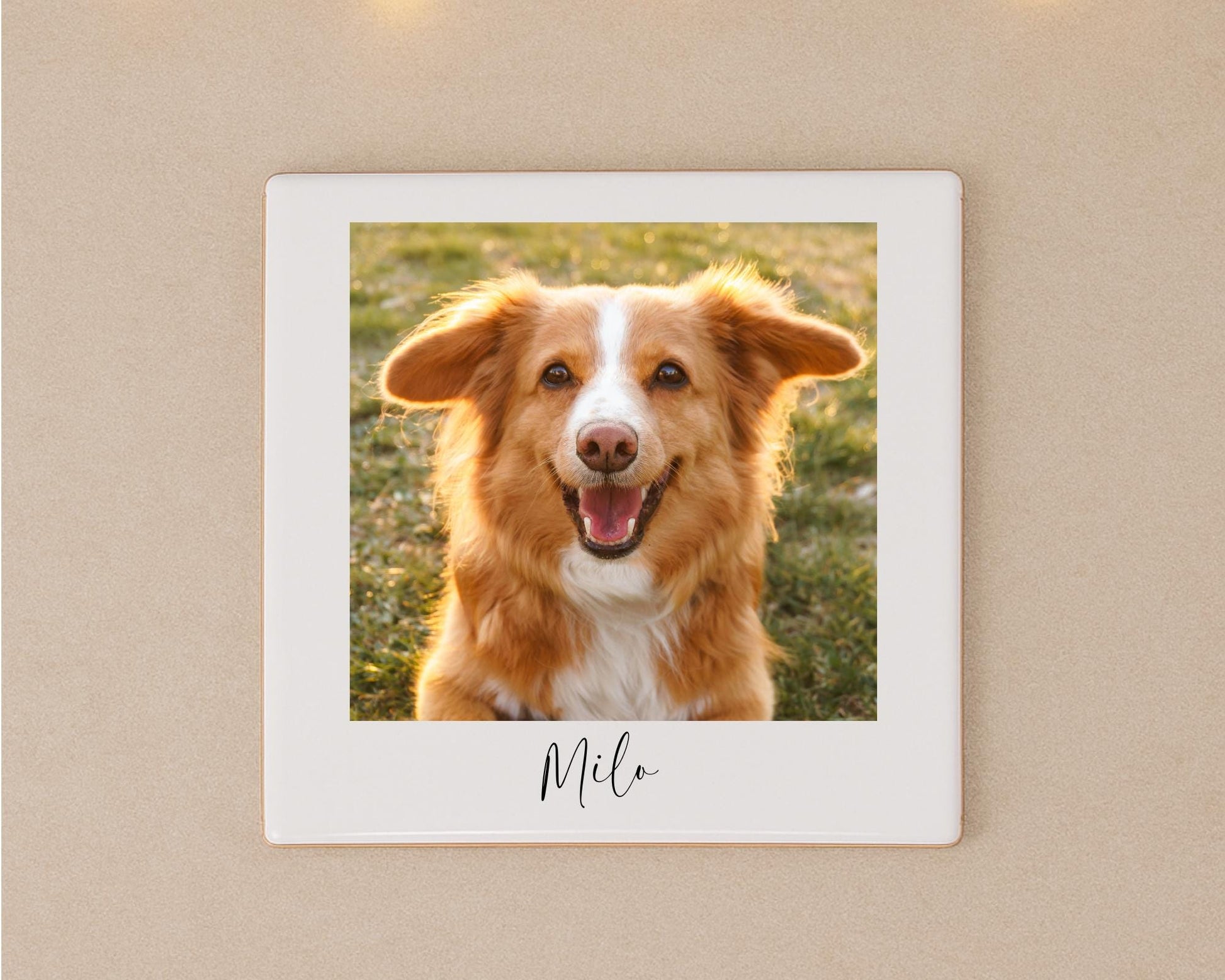Personalised Pet Photo Ceramic Tile With Text Dog Gift