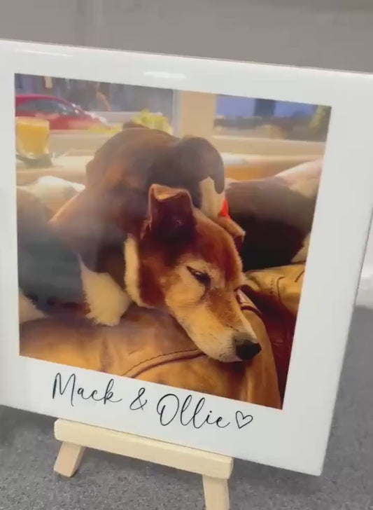 Personalised Pet Photo Ceramic Tile With Text Dog Gift