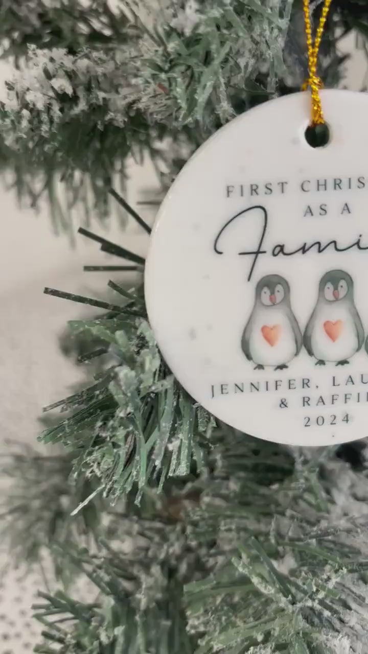 Family Christmas Ornament Personalised Baby First Xmas Penguin Decoration Gift