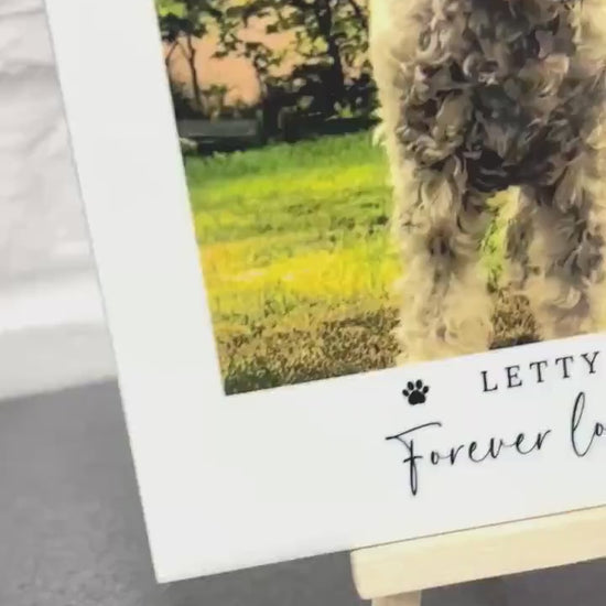 Personalised Dog Memorial Ceramic Photo Tile Pet Loss Gift